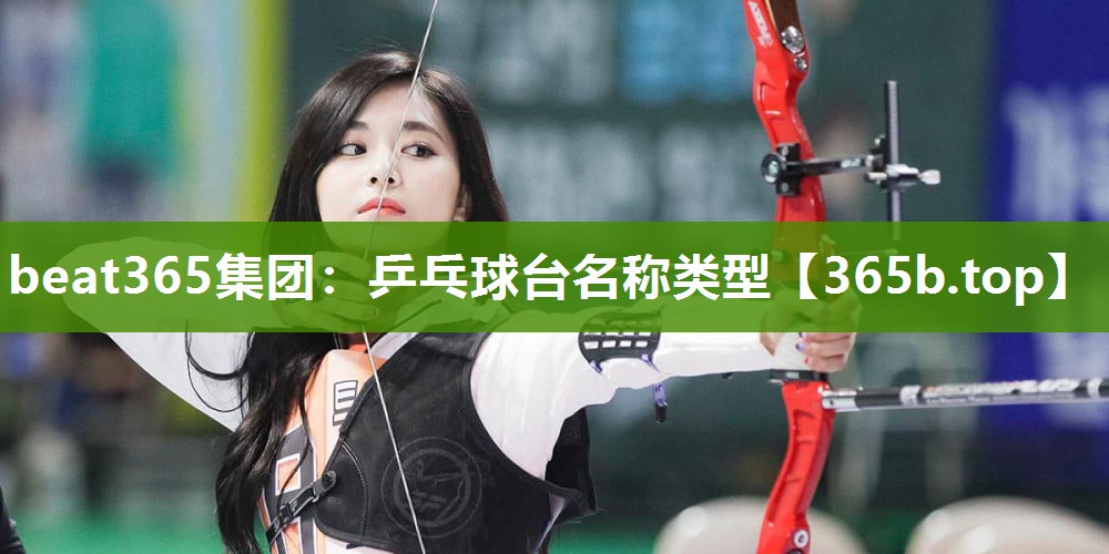 乒乓球台名称类型