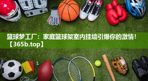 篮球梦工厂:家庭篮球架室内挂墙引爆你的激情! 篮球梦工厂:家庭篮球架室内挂墙引爆你的激情!
