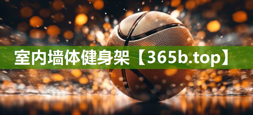 室内墙体健身架 室内墙体健身架