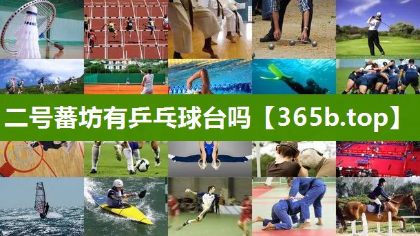 二号蕃坊有乒乓球台吗 二号蕃坊有乒乓球台吗